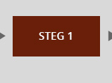 Steg 1